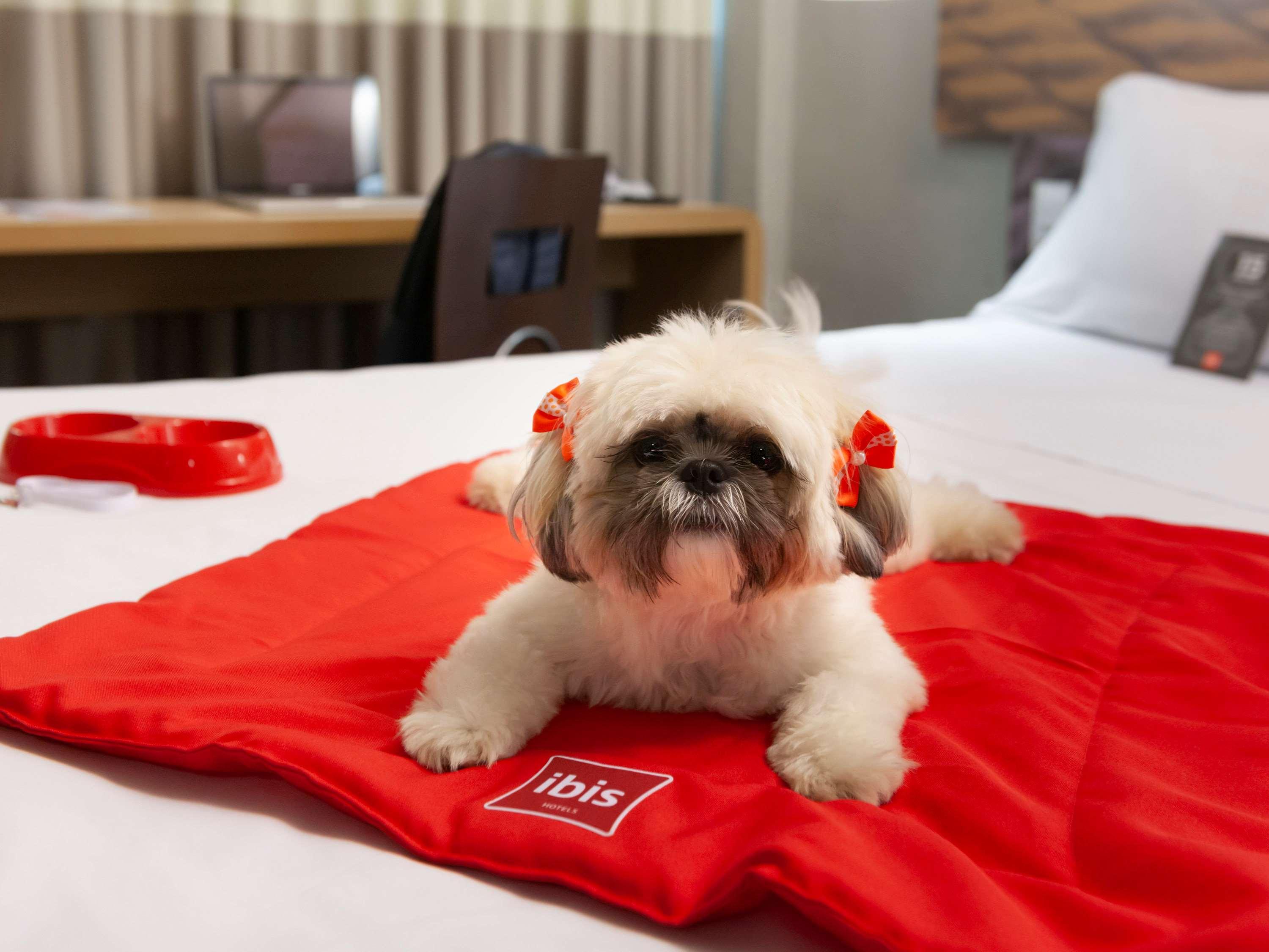Ibis Teresina Hotel Ngoại thất bức ảnh