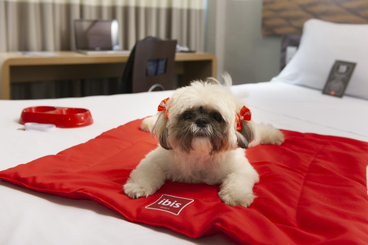 Ibis Teresina Hotel Ngoại thất bức ảnh